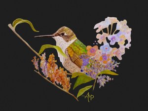 Kolibri Herzblumen