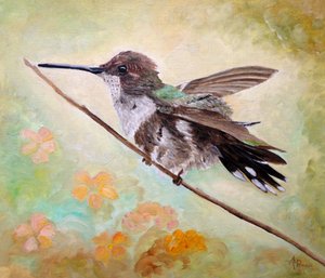 Kolibri auf Zweig
