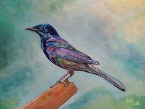 Schillernder Vogel auf Ast