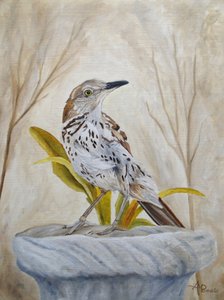 Friedlicher Gartendrossel von Angeles M. Pomata