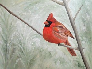 Gelassener Winterkardinal von Angeles M. Pomata
