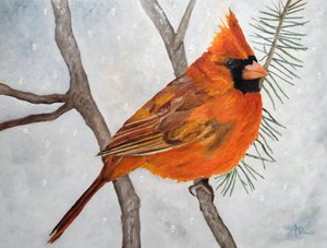 Schneebedeckter roter Kardinal von Angeles M. Pomata