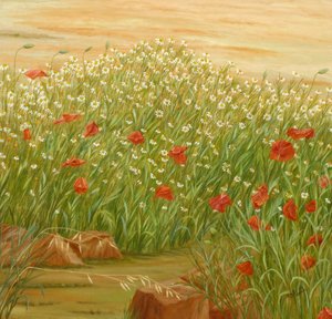 Sommermohn- und Gänseblümchenfeld