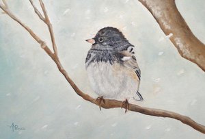 Winter-Juncovogel