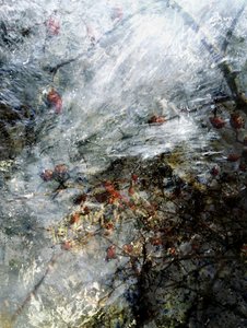 Gefrorene rote Beeren