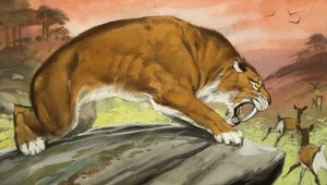 Säbelzahntiger auf der Jagd
