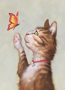Eustace Tabby, 2019
