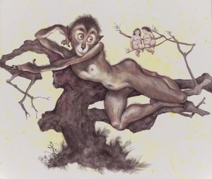 Der Vervet im Baum