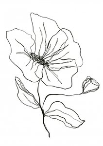 Zarte Blumenskizze