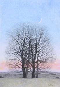 Neumond, 2011