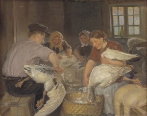 Die Gänse rupfen