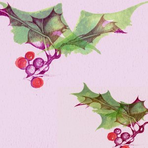 Stechpalme von Anna Platts