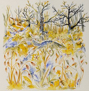 Fuchs im Wald, 2023