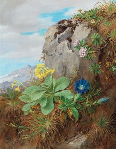 Alpenblumen