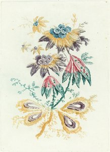 Fantastische Blumen mit Erbsenschotenblättern von Anne Allen after Jean Baptiste Pillement