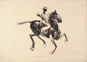 Pferd und Reiter