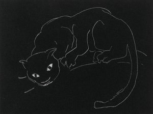 Nachtserie: Die Katze von Anne Goldthwaite