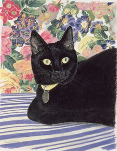 Schwarze Katze