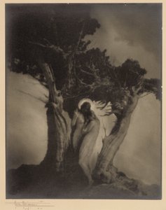 Das Herz des Sturms von Anne W. Brigman