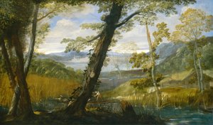 Flusslandschaft