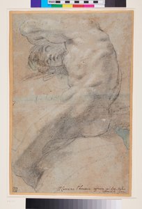 Studie eines nackten Mannes, ca. 1560-1609