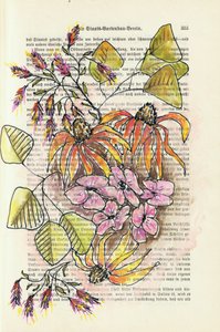 Vintage botanische Studie