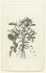 Drei Blumen, darunter eine Narzisse und eine Nelke