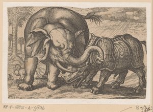 Ein Nashorn kämpft mit einem Elefanten