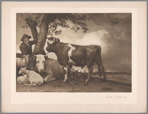 Die Stier (Paulus Potter) von Anonymous