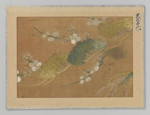Textilfragment