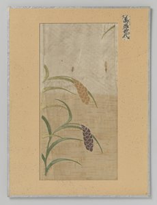 Textilfragment