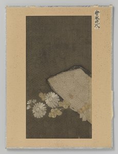 Textilfragment