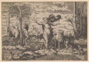 Gott erschafft die Tiere auf dem Land