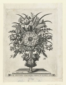 Groteske Vase mit Blumen, darunter eine Sonnenblume