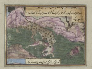 Leopard tötet einen Hund