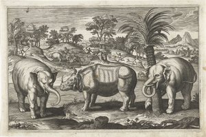 Elefanten und Nashorn