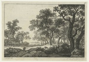 Pfad durch den Wald