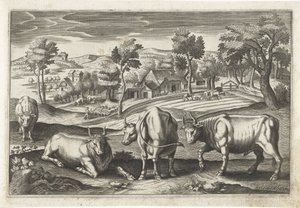 Rinder Vierbeinige Tiere (Serientitel) Animalivm Qvaddrvpedvm (Serientitel)