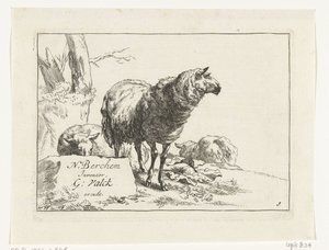 Stehendes Schaf und zwei liegende Schafe