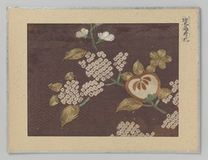 Textilfragment