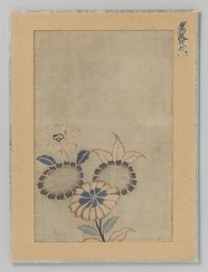 Textilfragment