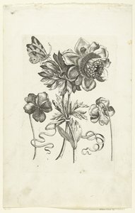 Vier Blumen, darunter zwei Stiefmütterchen
