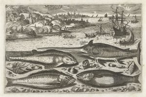 Vier Fische am Strand (Serie: Fische, Piscivm vivae icones) von Anonymous