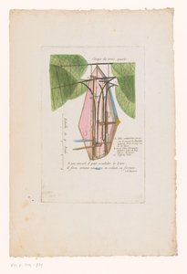 Flugmaschine von Mr Blanchard (Coupe de trois quarts)