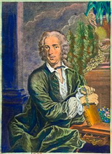 Porträt von Carl von Linné (1707-1778) schwedischer Naturforscher - Private Sammlung