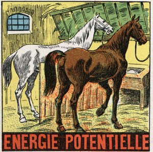 Potentielle Energie: Pferde ruhen in einem Stall. Anonyme Illustration von 1925. Private Sammlung.