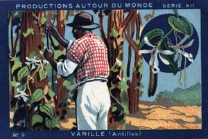 Produktionen rund um die Welt: Vanille in den Westindischen Inseln. Chromolithographie von 1933 in „Joseph-Milliat Album“