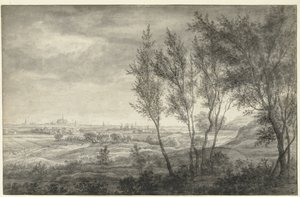 Blick aus den Dünen auf Haarlem