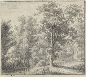 Eingang des Waldes