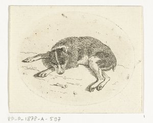 Liegender Hund